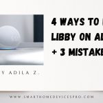 4 Ways You Play Libby On Alexa + 3 Mistakes